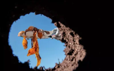 Limpeza de Fossas em Laranjeiras: Prevenção, Problemas Comuns e Soluções Profissionais